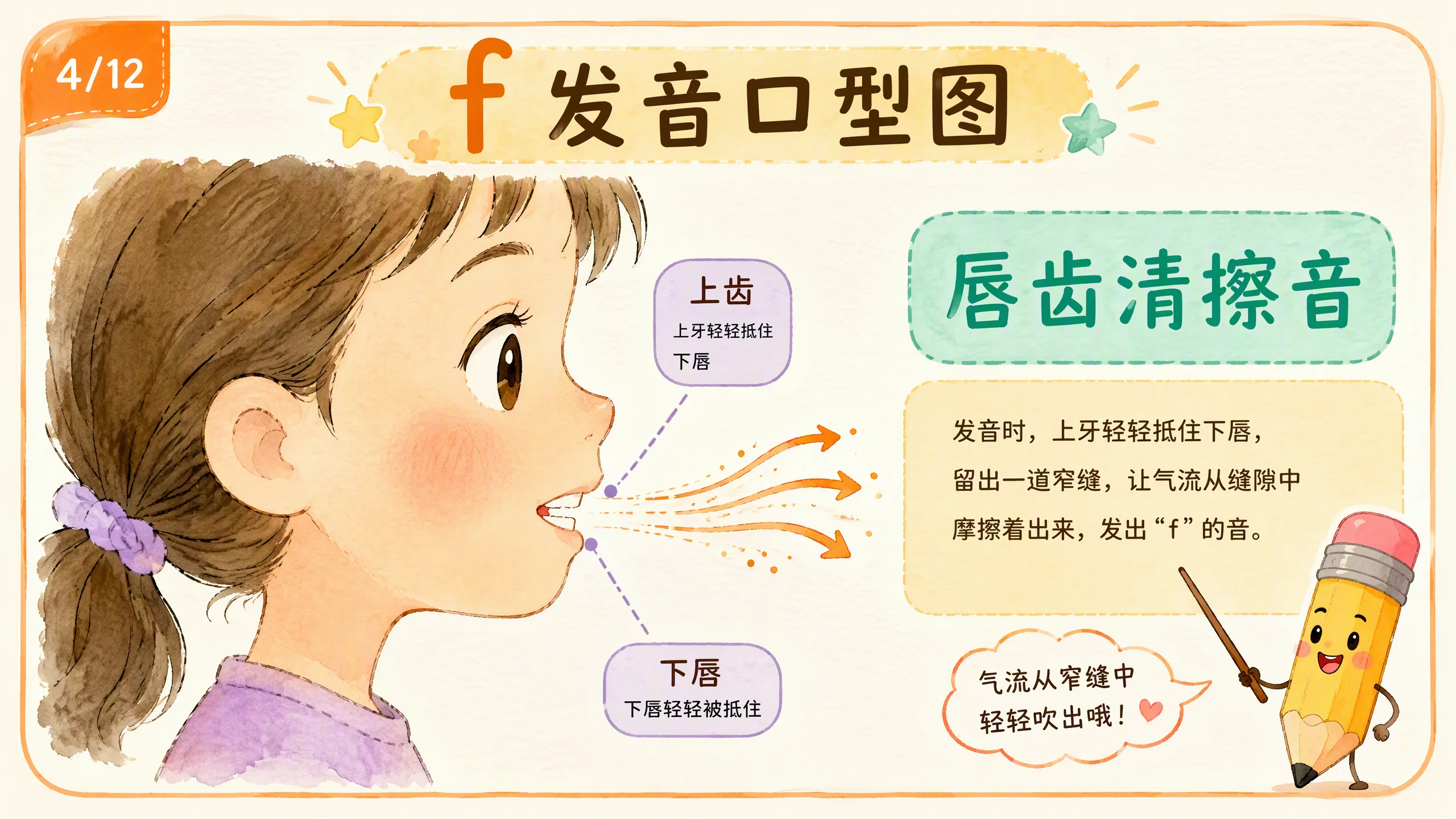 f发音口型图：唇齿清擦音